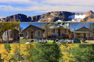 Cover Photo Bradshaw_Cottages2AA